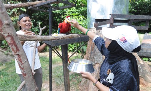 JOM JADI ‘ZOOKEEPER’ SEHARI DI ZOO MELAKA