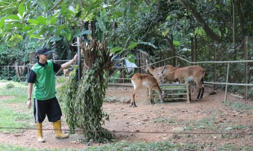 SERONOK LAYAN KELETAH HAIWAN DI ZOO MELAKA