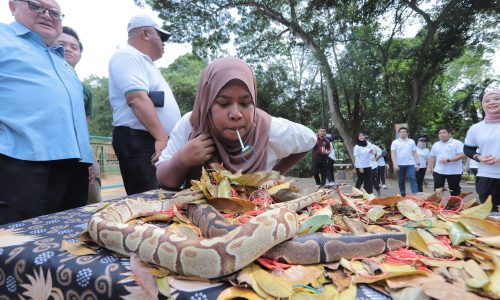 ‘ZOOMANJI’ @ ZOO MELAKA TAWAR KESERONOKAN AKTIVITI BERKUMPULAN