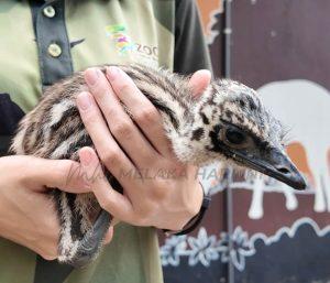 Whatsapp image 2026 01 13 at 11.52.50