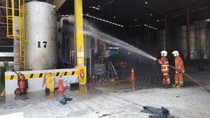 Whatsapp image 2026 01 13 at 16.41.47