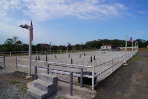 Whatsapp image 2026 01 15 at 5.32.39 pm