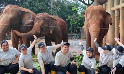 TERUJA DAPAT ‘BONDING’ DENGAN GAJAH ZOO MELAKA