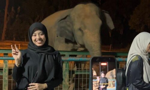 ZOO MELAKA HIDUPKAN ‘VIBE’ UNIK BILA LARUT MALAM