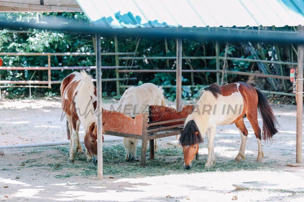 Img 20260215 230141 759