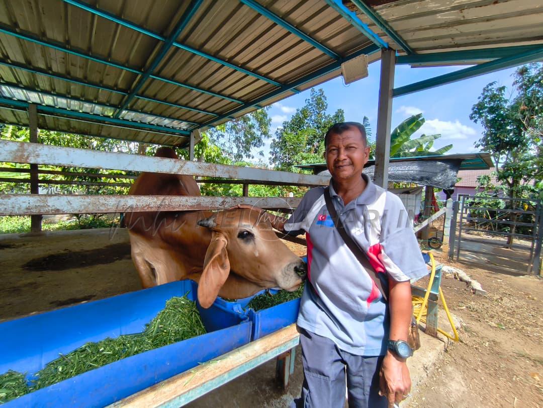 Whatsapp image 2026 02 16 at 21.36.59