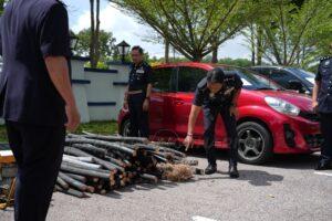 565187681 1264592822371674 5523165220014051289 n