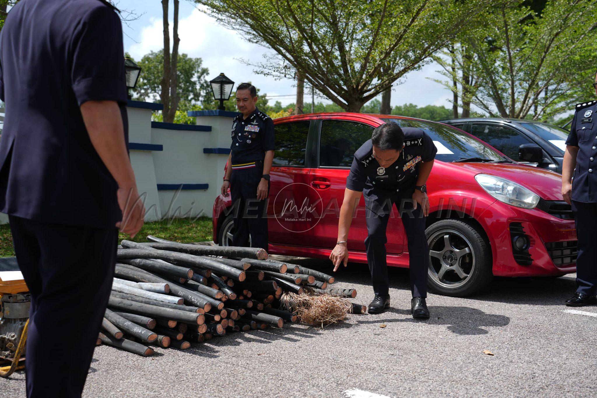 565187681 1264592822371674 5523165220014051289 n