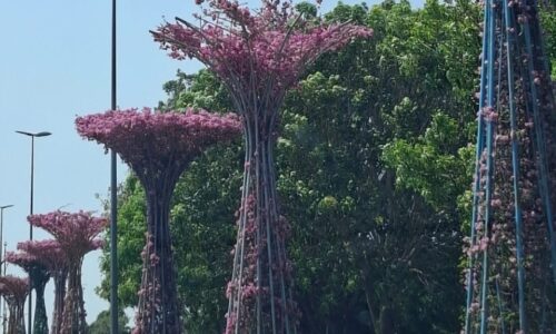 RAMAI TERPUKAU HIASAN KREATIF POKOK BUNGA KERTAS, BUNGA LOCENG DI JASIN