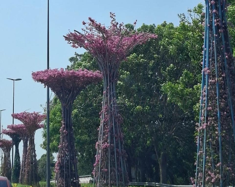 WhatsApp Image 2026 03 27 at 3.31.21 PM