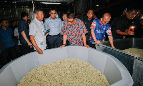 WRUR MACHAP JAYA: KILANG TAUGE MACHAP TARIK PERHATIAN KETUA MENTERI