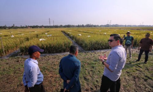 MELAKA BAKAL UMUM ‘MANIS-MANIS’ UNTUK PESAWAH