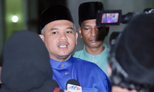 MELAKA PERTIMBANG INSENTIF BANTU PENIAGA DI BAWAH PBT