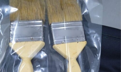 KILANG KOPI DAN BISKUT HILANG STATUS HALAL, GUNA BERUS DISAHKAN BULU BABI