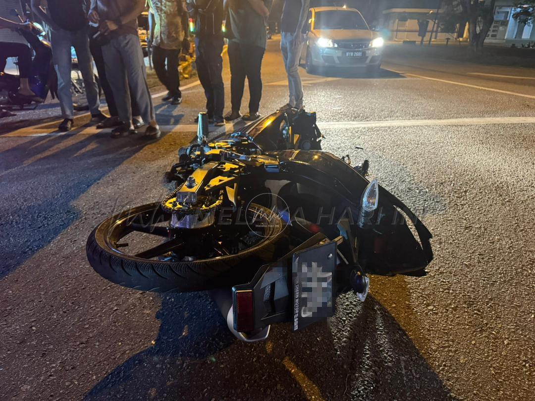 WhatsApp Image 2026 04 02 at 11.51.13