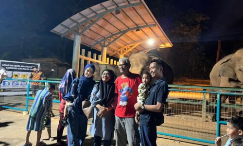 ZOO MELAKA BILA LARUT MALAM MEMANG BERBALOI