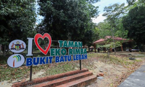 BUKIT BATU LEBAH SEMAKIN POPULAR