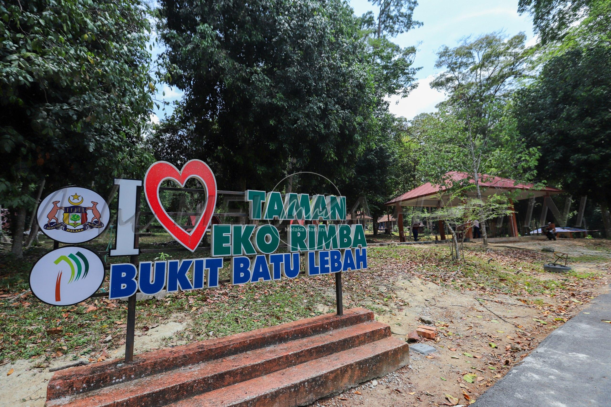 Batu lebah