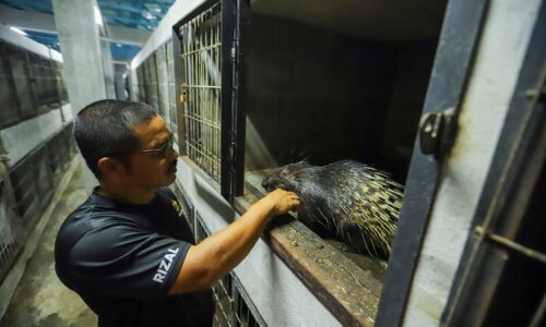 KAMPUNG JUS ‘SYURGA’ HAIWAN EKSOTIK