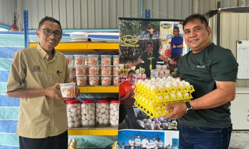 TELUR ASIN BUKIT SEDANAN BERSIH, BERKUALITI