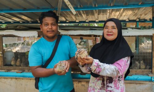 ‘PUYUH EMAS’ PEKAN NYALAS LARIS