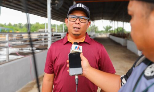 ‘QR TAGGING’ LEMBU, KERBAU BANTU TANGANI KES HAIWAN BERKELIARAN DI JASIN – MPJ