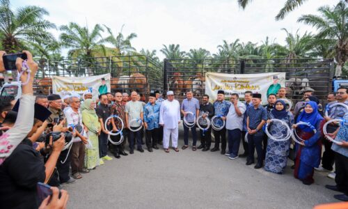 MELAKA SUMBANG 92 EKOR LEMBU KORBAN SEMPENA AIDILADHA