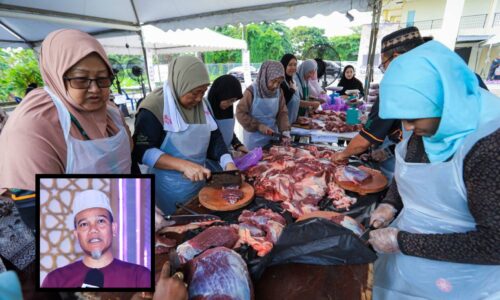 MAIM TUMBANG TIGA LEMBU SEMPENA KORBAN PERDANA MUALAF