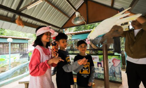 PELUANG BERMANJA DENGAN HAIWAN COMEL, EKSOTIK DI MENARA TAMING SARI