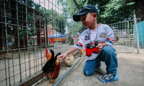 ‘PETTING ZONE’ PIKAT PENGUNJUNG ZOO MELAKA