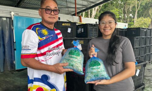 TAUGE MACHAP BARU TEMBUSI PASARAN SINGAPURA