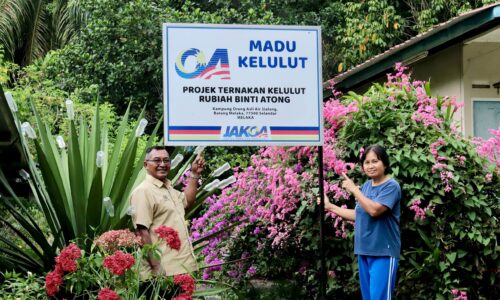 BUNGA DAN LEBAH TERAPI RUBIAH