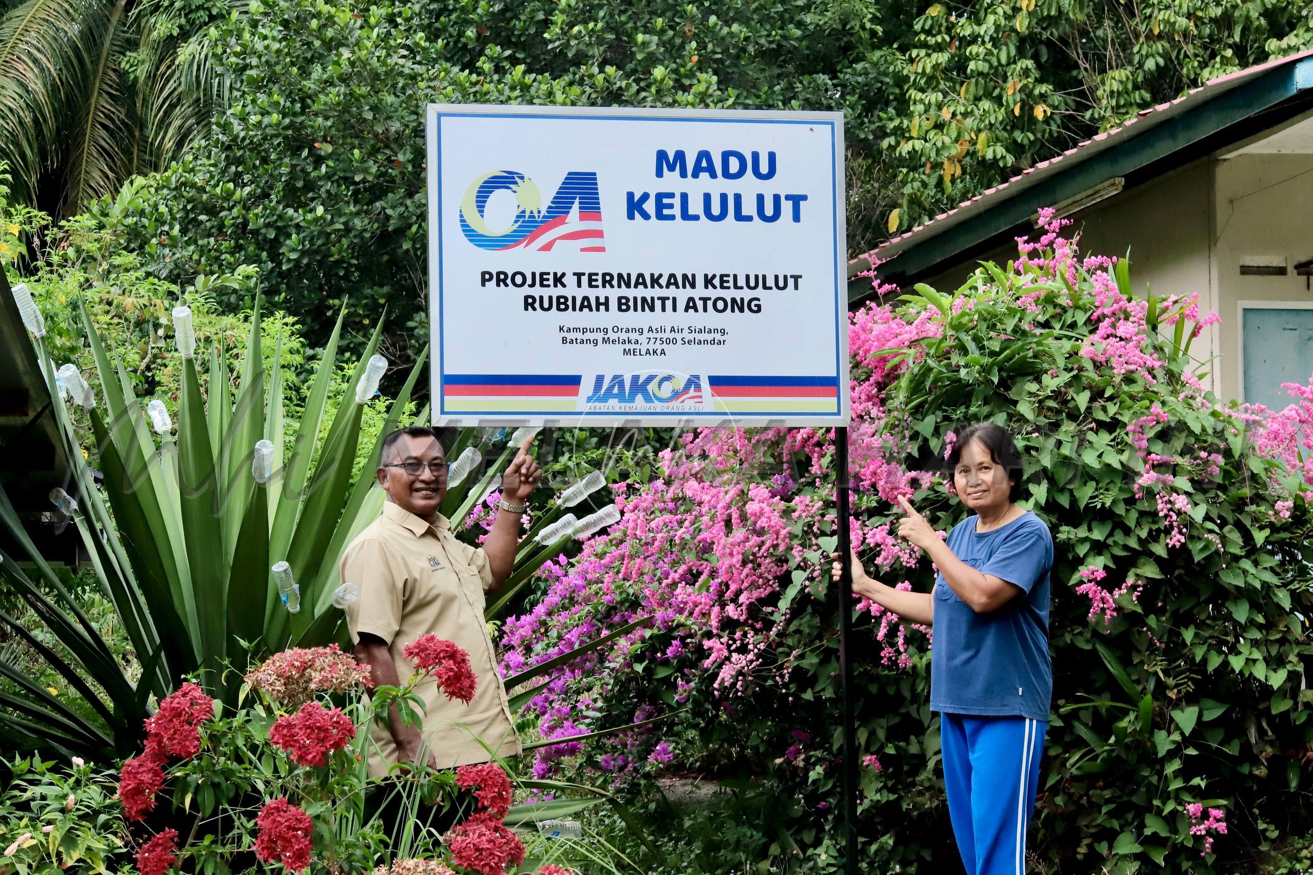 Lebah