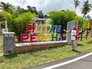 Percha