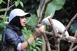Zoo