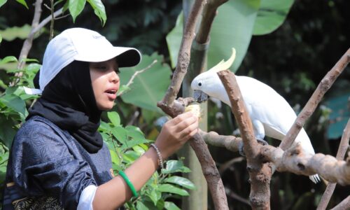 CIPTA KENANGAN INDAH SEBAGAI ‘ZOOLUNTEER’ ZOO MELAKA