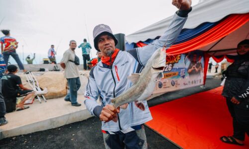 BELUKANG 2.055KG ‘TAWAN’ CRYSTAL BAY MEGASURF 2026
