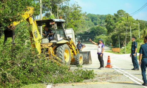 WRUR RIM: MPJ TEBANG POKOK BERISIKO DEMI KESELAMATAN