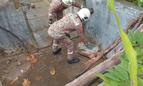 BOMBA MELAKA SELAMATKAN PENYU TERSANGKUT DALAM LONGKANG