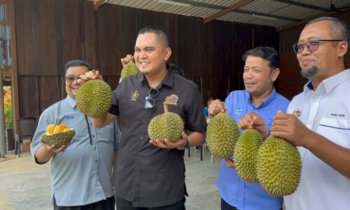 ‘KENDURIAN’ MELAKA TAWAR BUFET BLACK THORN, MUSANG KING HANYA RM25