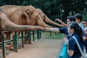 Zoo