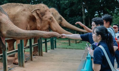 ZOO MELAKA JADI DESTINASI PILIHAN CUTI SEKOLAH