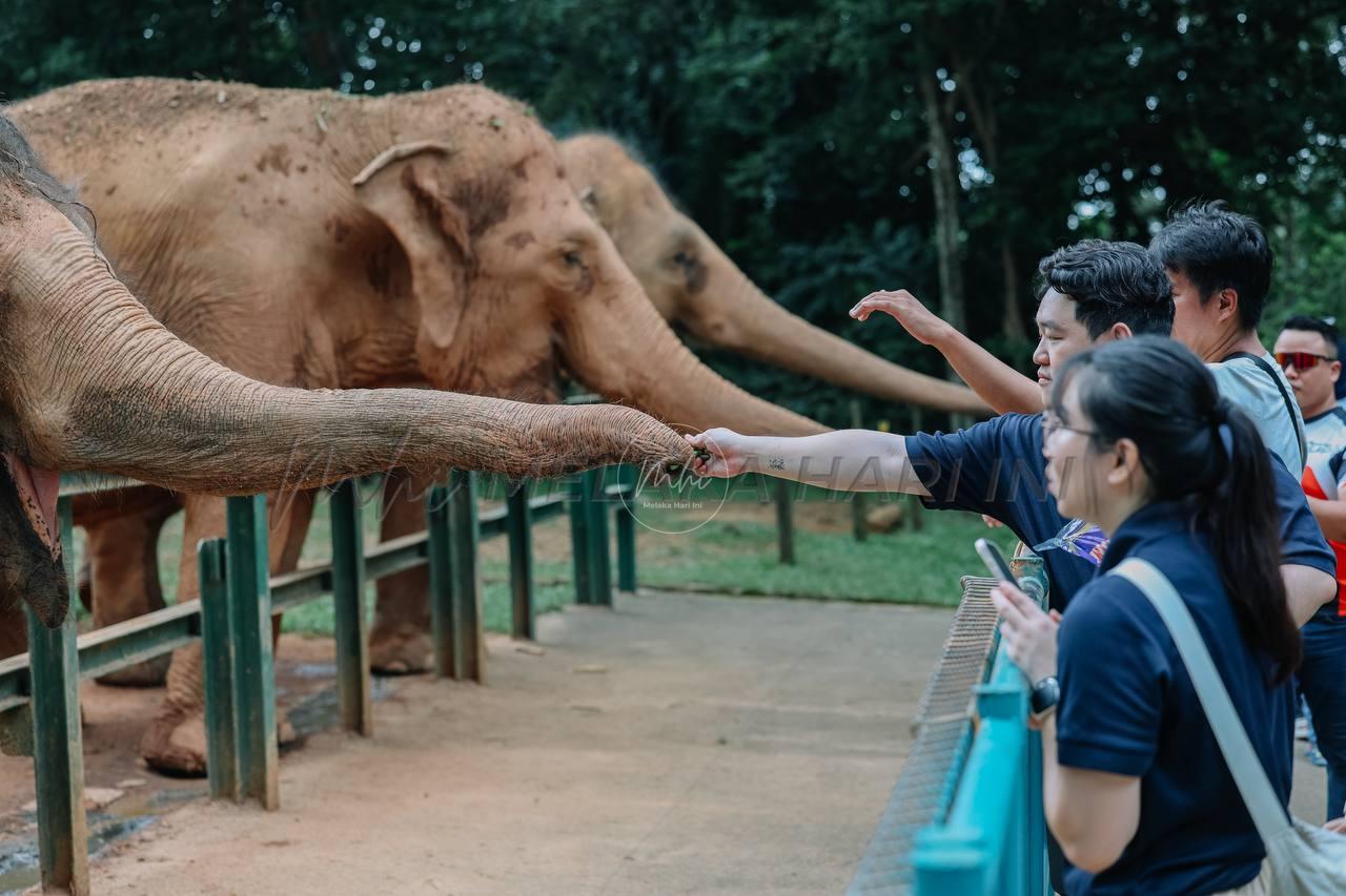 Zoo