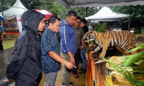 ZOO MELAKA PERKASA MISI SELAMATKAN HIDUPAN LIAR
