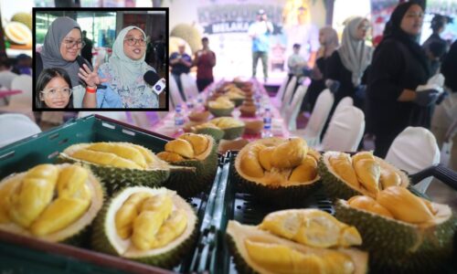 SANGGUP TEMPUH PERJALANAN 5 JAM DEMI DURIAN PREMIUM MELAKA