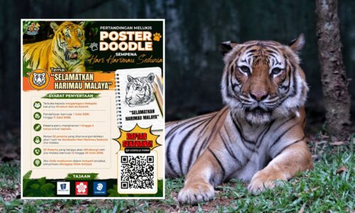 TAWARAN ISTIMEWA ZOO MELAKA SEMPENA HARI HARIMAU SEDUNIA, 25 JULAI INI