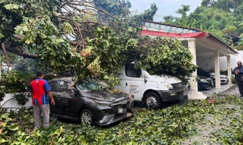 POKOK TUMBANG HEMPAP RUMAH, ‘KAK SOM’ DAN KELUARGA SELAMAT