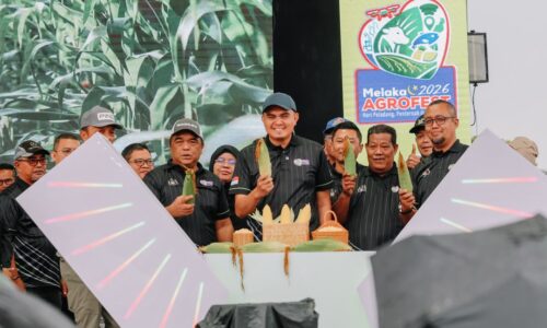 MELAKA AGROFEST 2026 BAWA TEMA JAGUNG, 60,000 TONGKOL DIAGIH PERCUMA