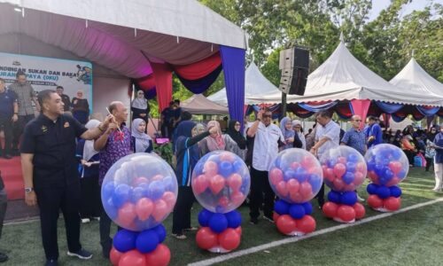 MELAKA PERUNTUK RM850,000 PERKASA GOLONGAN OKU