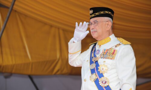 INISIATIF PERKASA KETERJAMINAN MAKANAN MELAKA DAPAT PERHATIAN TUN DR. MOHD ALI